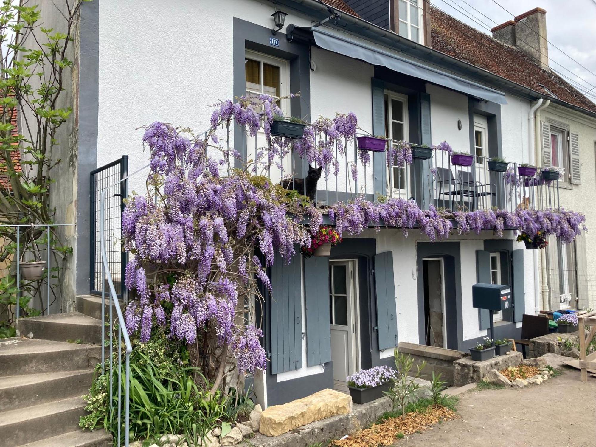 Le Lodge De Serenite Cuffy Exterior foto
